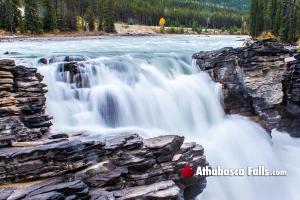 Athabasca Falls in Jasper National Park in October