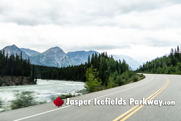 Jasper Icefields Parkway During October