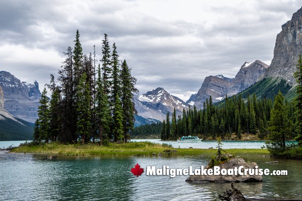 Jasper Maligne Lake Boat Cruise During October